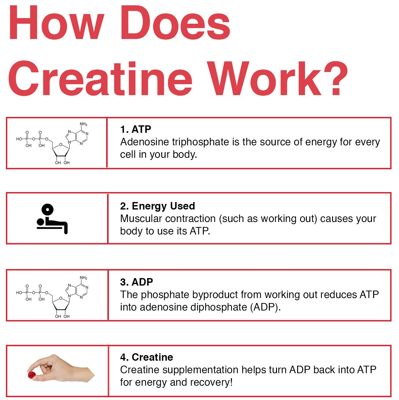 Creatine Monohydrate Gummies