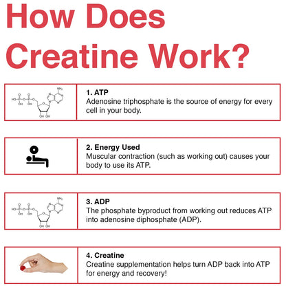 Creatine Monohydrate Gummies